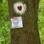 Fruškogorski maraton (42)