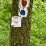 Fruškogorski maraton (52)